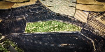 Vasto incendio nella Mgarr Valley: intervento in corso della Protezione Civile