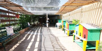 A Zurrieq inaugurato il primo Cat Café di Malta: un rifugio sicuro per i gatti randagi