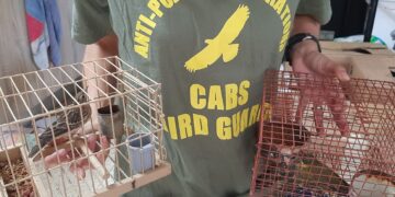 Il “peggior bracconiere di Malta” colpisce ancora: sequestrata enorme collezione di uccelli protetti vivi