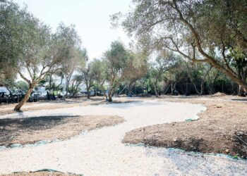 Nuova vita per 4.000 metri quadrati di natura all’interno della Riserva naturale di Simar