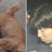 Satoshi Okamura