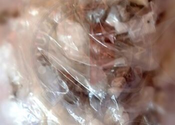 Blitz antidroga a St. Paul’s Bay: in manette una 47enne