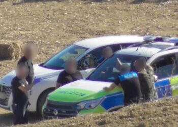 Carcassa di cavallo in decomposizione rinvenuta a Gozo: incriminato un uomo