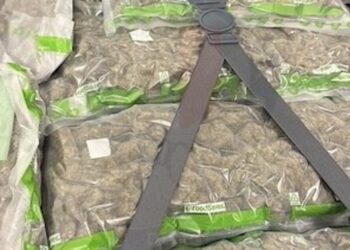 Valigia sospetta abbandonata in aeroporto, dentro 10 chili di droga: arrestato presunto trafficante