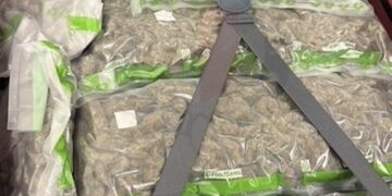 Valigia sospetta abbandonata in aeroporto, dentro 10 chili di droga: arrestato presunto trafficante