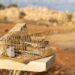 Malta riapre la stagione di cattura degli uccelli sfidando ancora una volta i tribunali europei