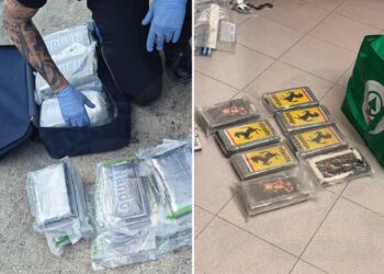Maxi-sequestro di droga a Gozo: in manette 45enne beccato con 76 chili di cocaina