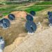 Gozo punta sul sole: sbocciano i primi “Solar flower” d’Europa
