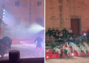 Spettacoli circensi con cavalli a Montekristo, interviene il Ministero e revoca i permessi