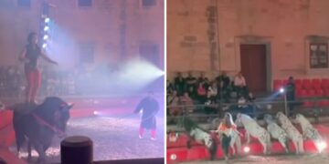 Spettacoli circensi con cavalli a Montekristo, interviene il Ministero e revoca i permessi