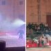 Spettacoli circensi con cavalli a Montekristo, interviene il Ministero e revoca i permessi