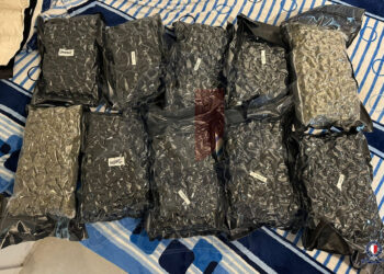 Traffico di droga e riciclaggio, tre arresti convalidati