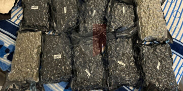 Traffico di droga e riciclaggio, tre arresti convalidati