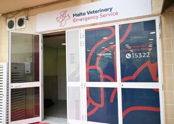 clinica veterinaria Fgura