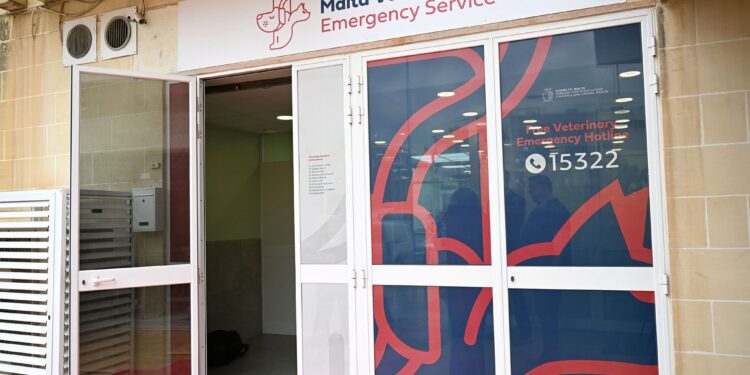 clinica veterinaria Fgura