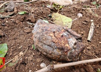 Sorpresa a Mqabba: dal giardino di casa spunta una bomba della Seconda guerra mondiale