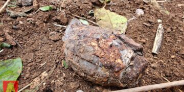 Sorpresa a Mqabba: dal giardino di casa spunta una bomba della Seconda guerra mondiale