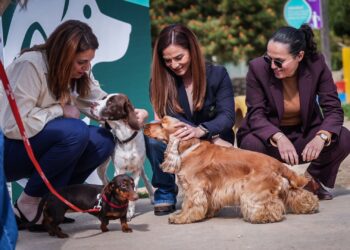 Dog park e cat café nei quartieri: fondi ai Comuni per nuovi spazi dedicati agli amici a quattro zampe