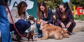 Dog park e cat café nei quartieri: fondi ai Comuni per nuovi spazi dedicati agli amici a quattro zampe