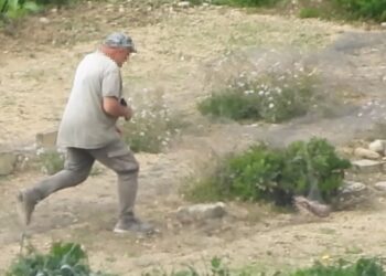 Uccide un gheppio protetto e finge un malore davanti alla polizia: bracconiere non sapeva di essere ripreso