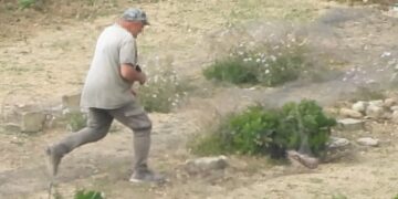 Uccide un gheppio protetto e finge un malore davanti alla polizia: bracconiere non sapeva di essere ripreso