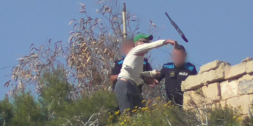 Caccia primaverile, illegalità già all’avvio della stagione: «Il 72% mira alle tortore»