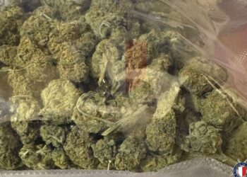 Pattuglia lo ferma per un controllo, trovato con droga: arrestato