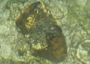 Scoperto ordigno inesploso sul fondale di Ghar Lapsi: intervento degli artificieri