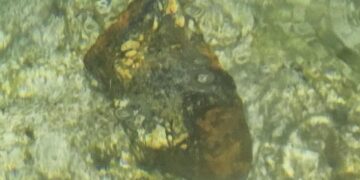 Scoperto ordigno inesploso sul fondale di Ghar Lapsi: intervento degli artificieri