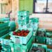 Un mercato agricolo aperto tutto l’anno: a Ta’ Qali si scommette sulla filiera corta