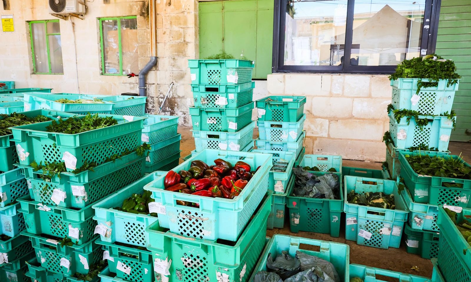 Un mercato agricolo aperto tutto l’anno: a Ta’ Qali si scommette sulla filiera corta