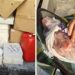 Dall’Albania a Malta con un carico di alimenti mal conservati e non etichettati: scatta il sequestro