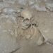 Una giovane donna vissuta 2.000 anni fa tornerà “in vita” grazie alla scienza