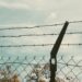 carcere, sbarre, prigione