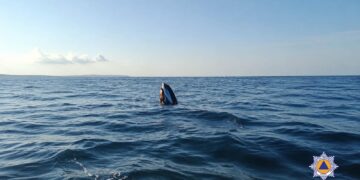 Moto d’acqua si ribalta al largo di Pembroke: due persone soccorse
