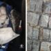 Blitz antidroga tra Malta e Gozo: sequestrati oltre 28 chili di eroina e cocaina, otto arresti